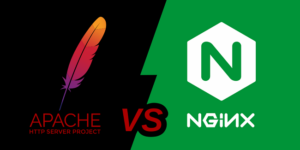 Đánh Giá Sự Khác Nhau Giữa Web Server NGINX và Apache Chi Tiết