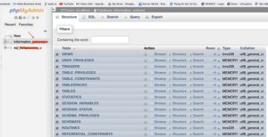 Hướng Dẫn Import và Export Database Trong phpMyAdmin Nhanh