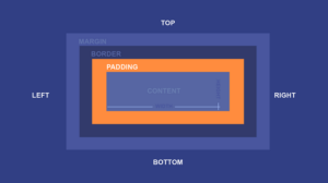 Padding là gì? Cách Sử Dụng Padding Trong CSS Chi Tiết