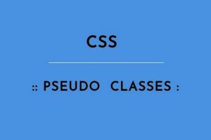 Pseudo Class là gì? Các Pseudo Class Thường Dùng Trong CSS