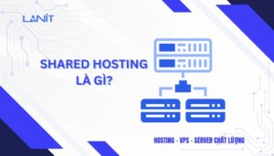 Shared Hosting là gì?