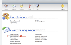Hướng Dẫn Cấu hình Catch-All Email trên DirectAdmin Nhanh