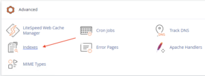 Cách Vô Hiệu Hóa Directory Indexing trong Hosting Cpanel