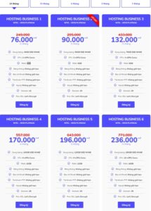 Ra Mắt Dịch Vụ Business Hosting LANIT - Sale Upto 75%