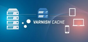 Varnish Cache là gì? Cách Hoạt Động & Cài Đặt trên Ubuntu Chi Tiết