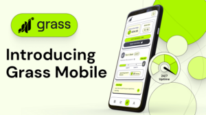 Grass là gì? Cách Săn Airdrop Grass & kiếm Token GRASS Hiệu Quả Tối Ưu