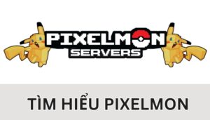 server pixelmon