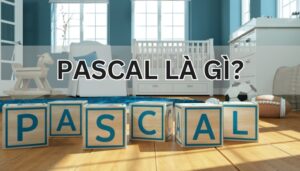 Pascal là gì?