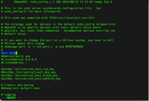 Bài viết này, LANIT sẽ hướng dẫn bạn cách Thay Đổi Port SSH Linux (CentOS, Ubuntu) chi tiết với các bước đơn giản, hình ảnh minh họa rõ ràng