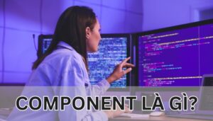 Component là gì?