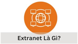 Extranet là gì?