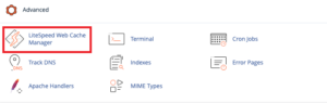 Hướng Dẫn Sử dụng LiteSpeed Web Cache Manager trong cPanel