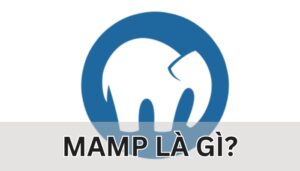 MAMP là gì?