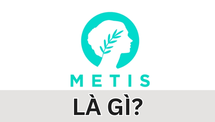 Metis là gì?
