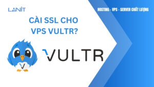 cài ssl cho vps vultr