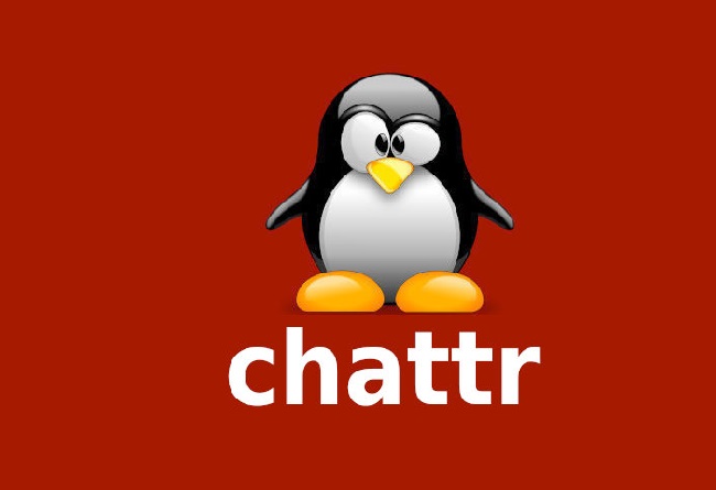 Lệnh Chattr trong Linux và Cách Sử Dụng Chi Tiết