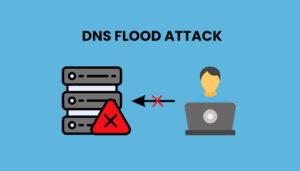 DNS Flood là gì?
