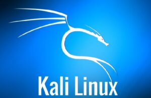 Kali Linux là gì? Tính Năng và Cách Cài Đặt Chi Tiết