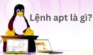 Lệnh apt là gì? Cách sử dụng lệnh apt trên Linux kèm Ví dụ
