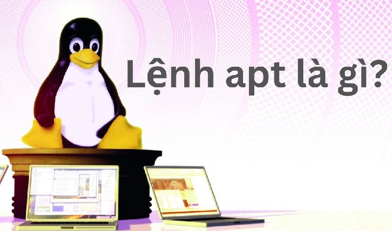 Lệnh apt là gì? Cách sử dụng lệnh apt trên Linux kèm Ví dụ