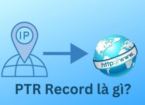 PTR là gì? PTR Records được dùng để làm gì? Tại sao nó quan trọng?