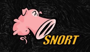 SNORT là gì? Tính Năng Nổi Bật của SNORT