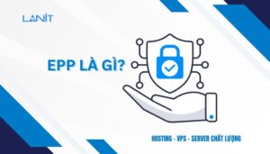 EPP là gì?