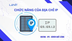 Chức năng của địa chỉ IP là gì?