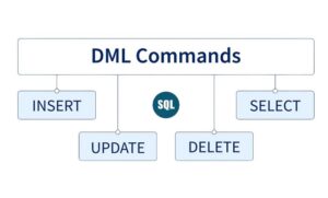 DML là gì? DDL là gì? So sánh Lệnh DML với DDL trong SQL