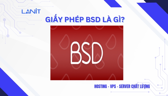 Giấy phép BSD là gì?