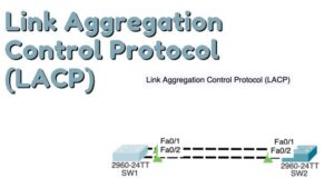 LACP là gì? Lợi ích và Cách Thức Hoạt Động