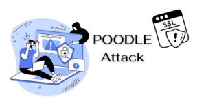 POODLE Attack là gì? Mức Độ Nguy Hiểm và Cách Phòng Tránh