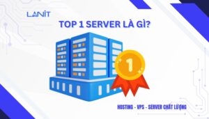 Top 1 server là gì?