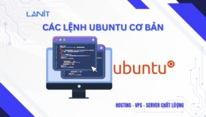 các lệnh Ubuntu cơ bản