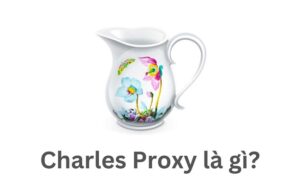 Charles Proxy là gì? Tính Năng và Cách Cài Đặt Chi Tiết