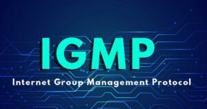 IGMP là gì? IGMP Proxy là gì? Lợi Ích và Cách Thức Hoạt Động