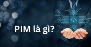 Privileged Identity Management (PIM) là gì? Tính Năng và Cách Vận Hành