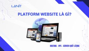 Platform Website là gì?