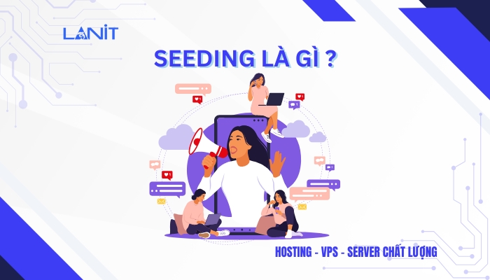 Seeding là gì?