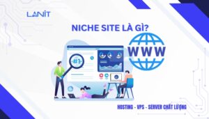 Niche site là gì?