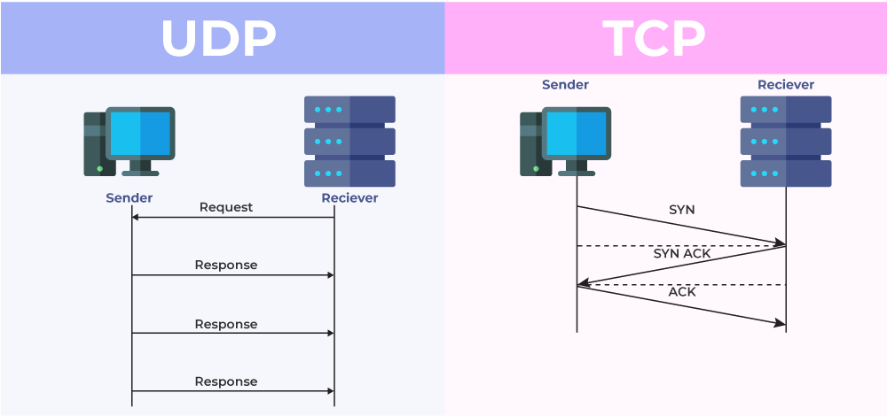TCP UDP