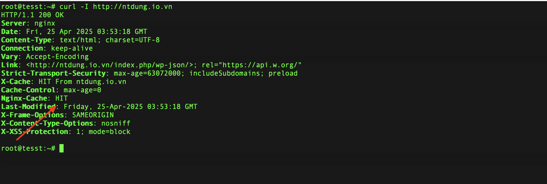 kiem-tra-lai-sau-khi-cau-hinh-nginx-fastcgi-cache-tren-aapanel