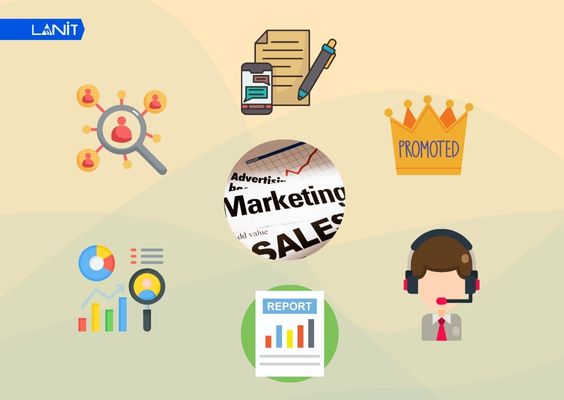 Sale Marketing đảm nhận việc là cầu nối giữa các bộ phận