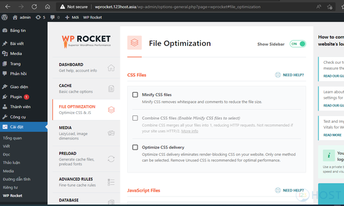 Tối ưu cấu hình File Optimization trên WP Rocket