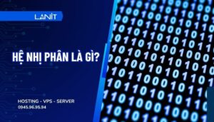 Hệ nhị phân chỉ dùng hai ký tự là 0 và 1