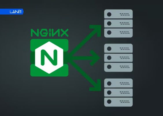 Cài đặt NGINX hoặc NGINX Plus là bước bắt buộc trước khi cài SSL từ Let’s Encrypt