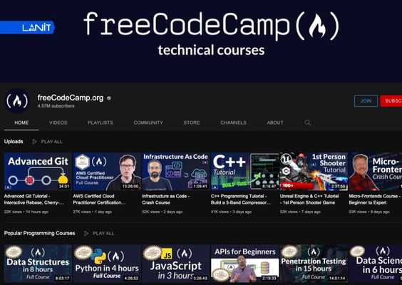 Lộ trình thiết kế website trên Freecodecamp phù hợp với người tự học