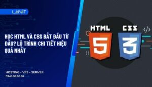 Học HTML và CSS bắt đầu từ đâu? Lộ trình chi tiết hiệu quả nhất