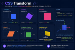 CSS Transform
