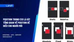 Position trong css là gì? Tổng quan về Position dễ hiểu cho người mới